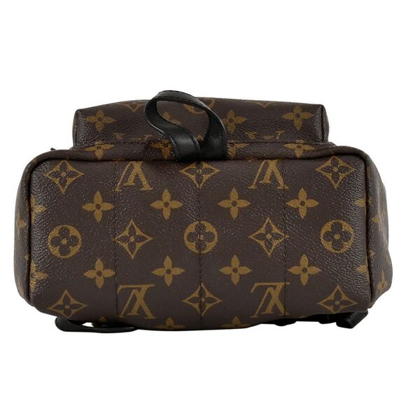 Louis Vuitton Palm Springs PM Rucksack Monogram Backpack - Picture 4 of 12